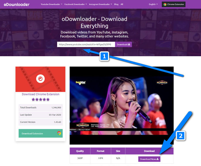 youtube downloader