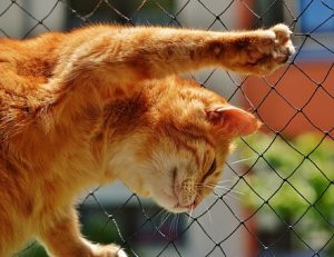 Cara membuat konten viral dan contoh keyword viral