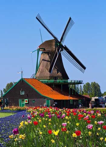 Kampoeng Tulip