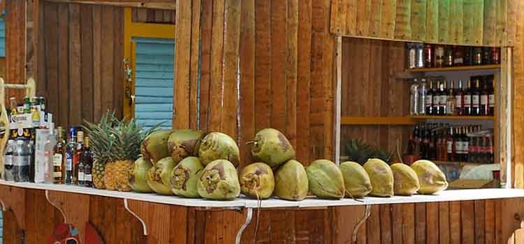 usaha es kelapa muda