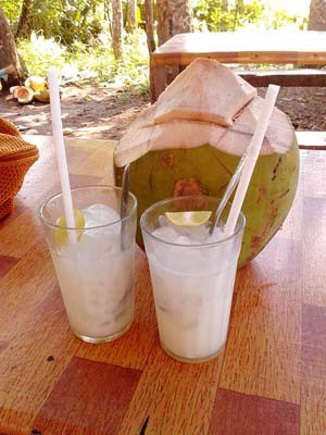 resep es kelapa muda