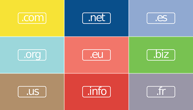 Top Level Domain