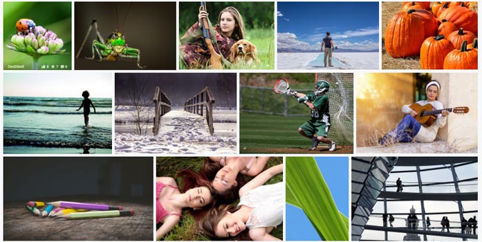 Download Gambar Gratis