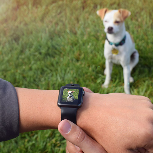 Aksesori Ekstra Apple Watch