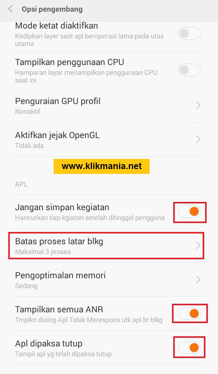 developer options