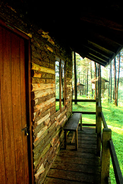 rumah pohon