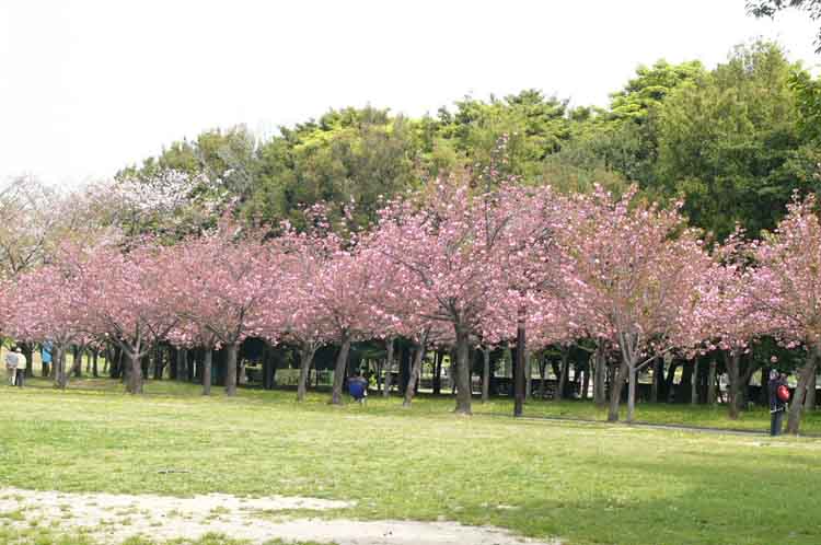 Objek Wisata di Bogor