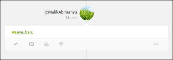 Review Sebangsa