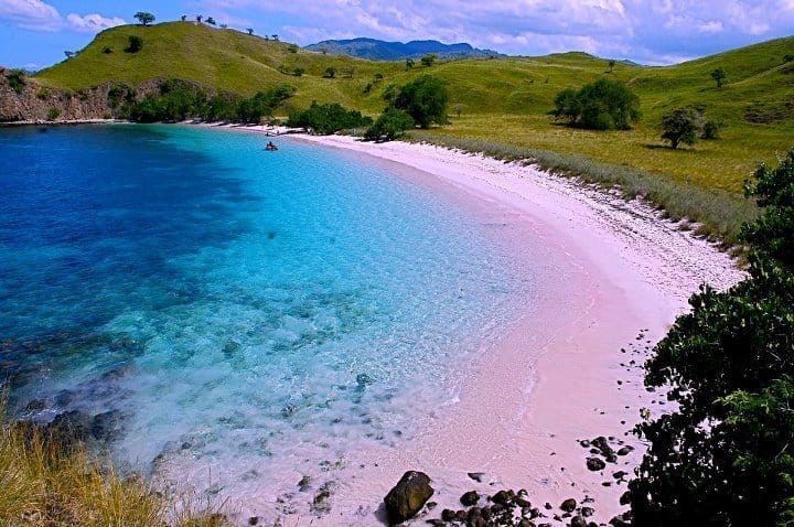 Taman Nasional Komodo
