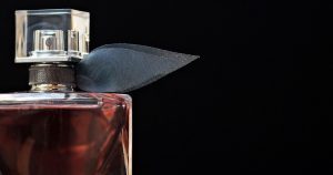 usaha parfum refill