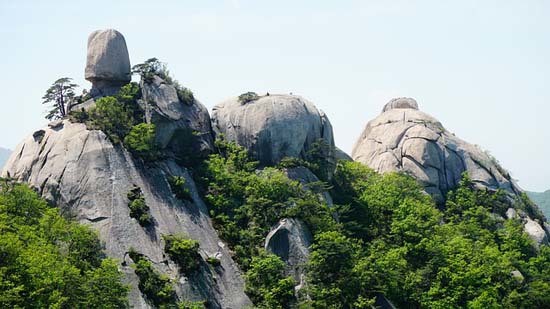 Tips Liburan ke Korea Selatan