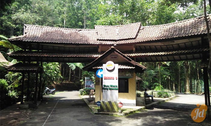Curug Cipendok