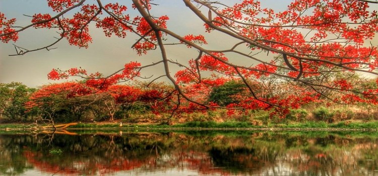 wisata di sepanjang jalur pantura
