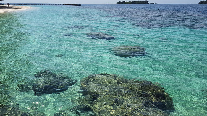 pulau sepa