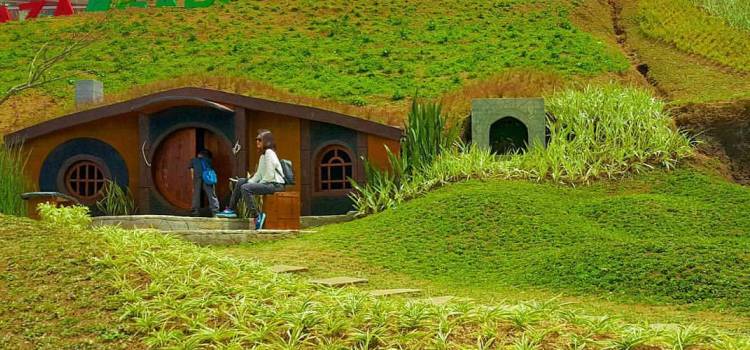 wisata rumah hobbit