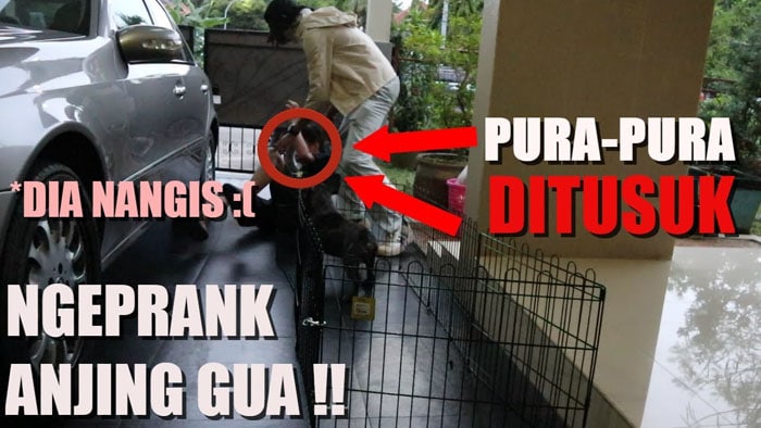 Youtubers Prank