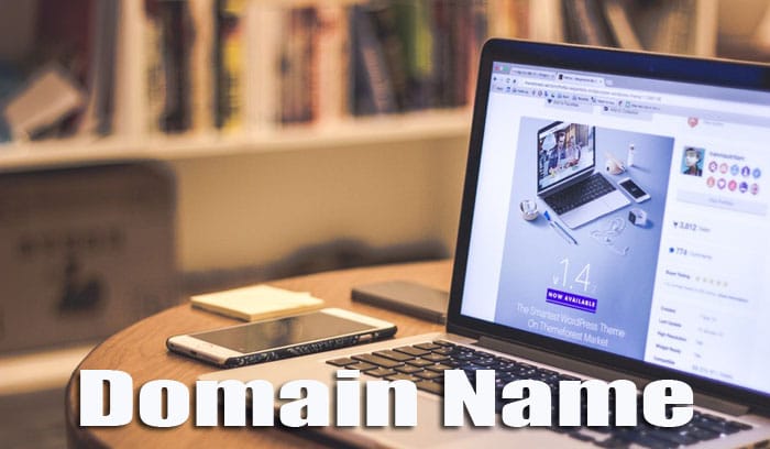 mengganti domain