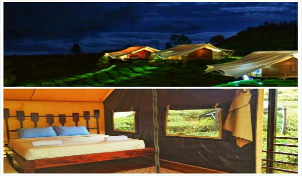 Glamping Lakeside