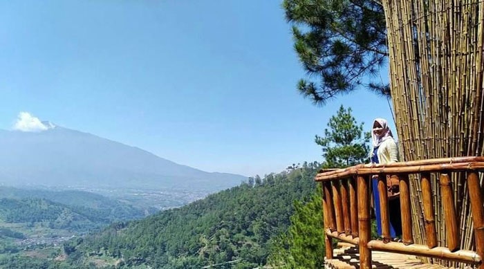 Obyek wisata Hutan Pinus 