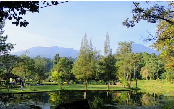 Mandalawangi Cibodas Camping Ground