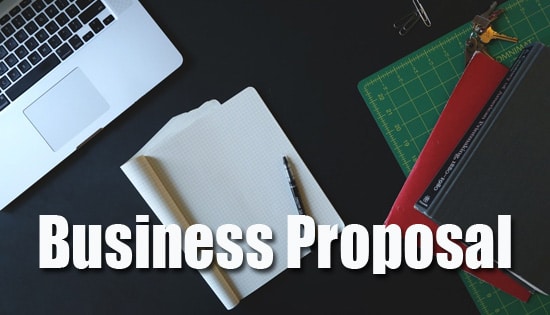 Membuat Proposal Bisnis Profesional