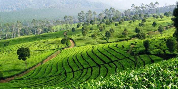 wisata menarik di lembang