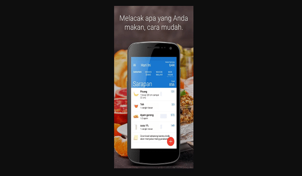 pola hidup sehat