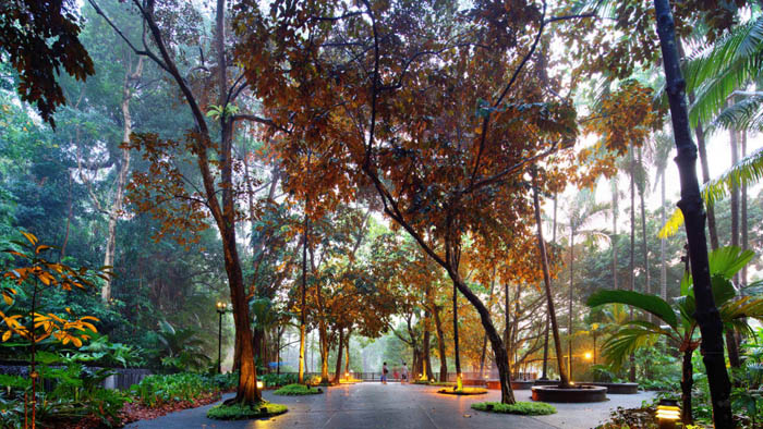 Berwisata ke Singapura