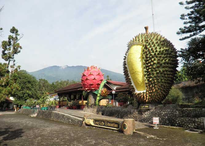 Warso Farm Via wirasel.com