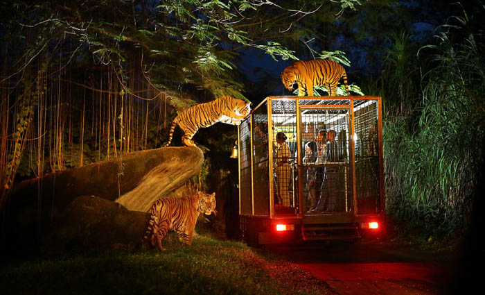 Berwisata ke Singapura