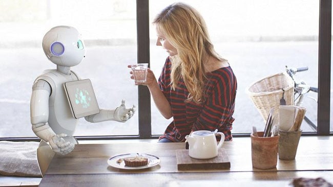 Robot Pembantu Rumah Tangga
