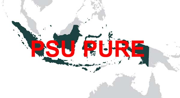 Istilah PSU PURE