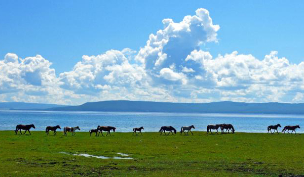 liburan tenang