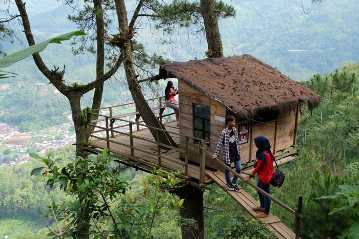Omah Kayu Paralayang batu Malang