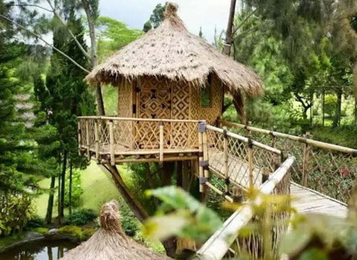 rumah pohon