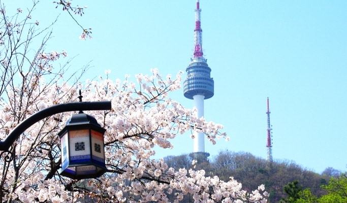 Seoul Travel Guide