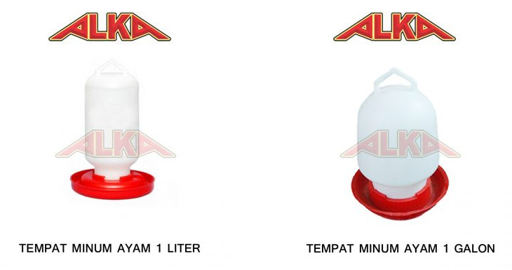 Tempat minum ayam