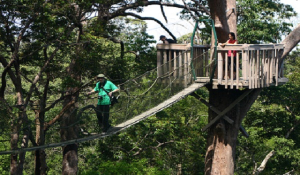 Hutan Wanawisata