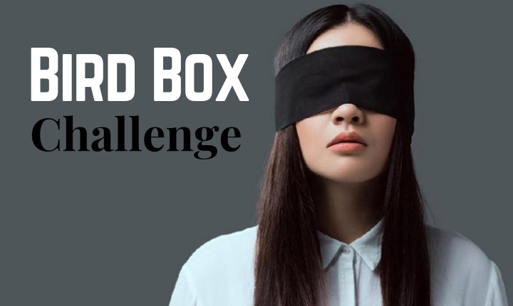 Bird Box Challenge