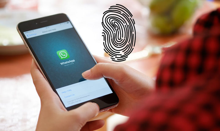 Fitur WhatsApp Terbaru