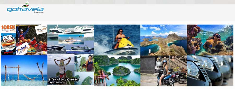 Go Travel Online