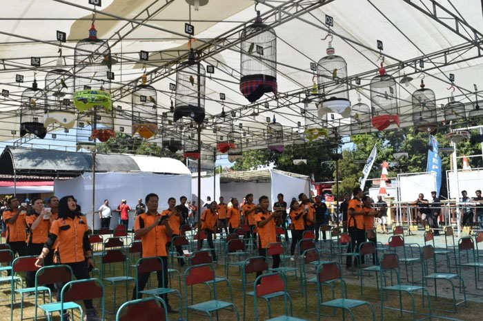 lomba burung kenari