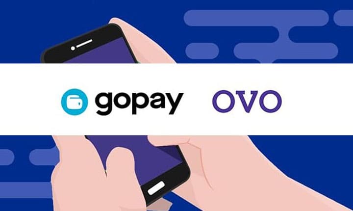 ovo 2019