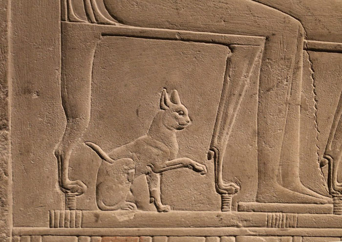 kucing persia