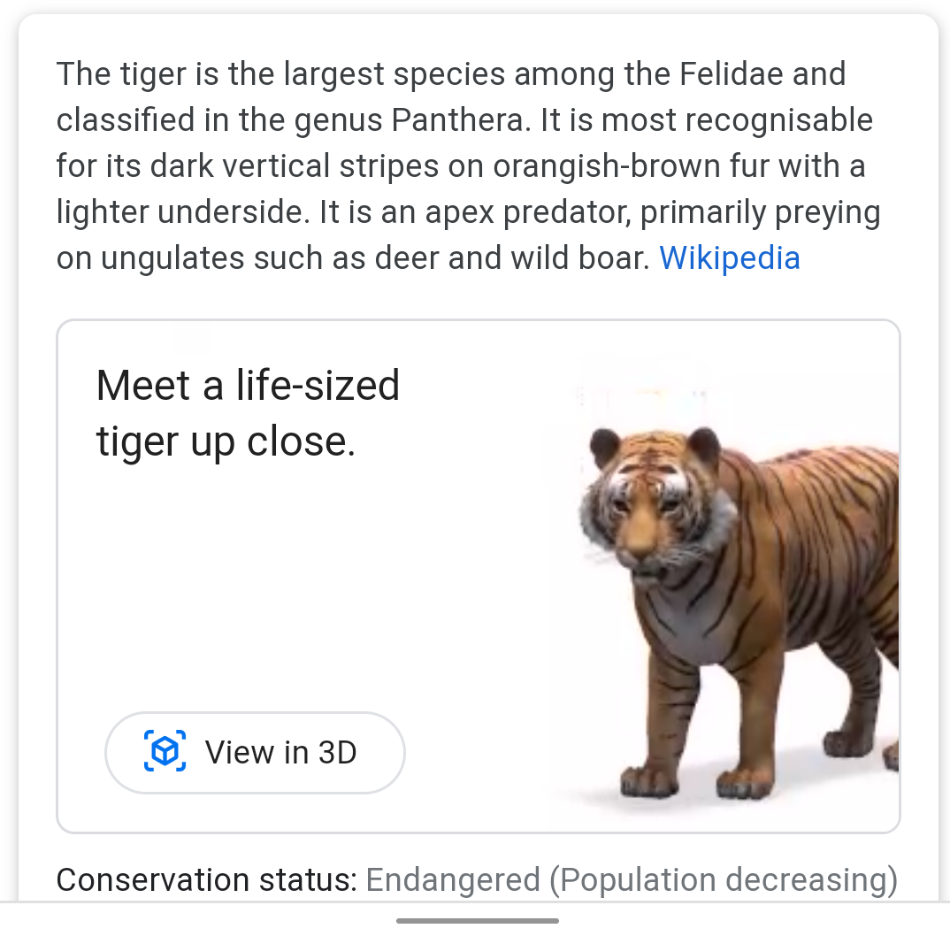 Google 3D