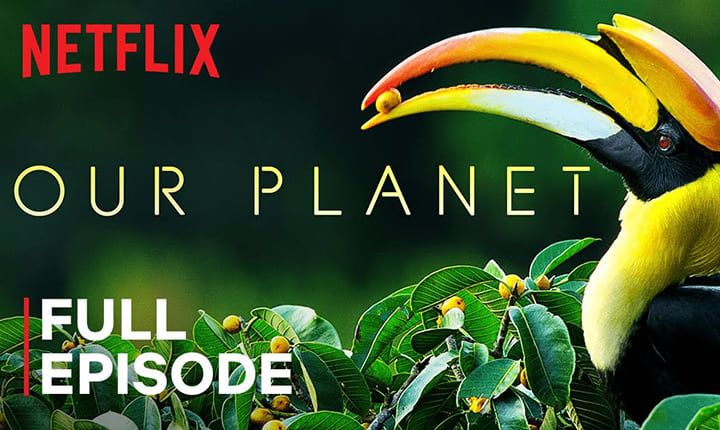 netflix dokumenter