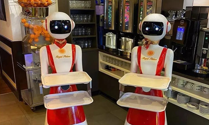 robot social