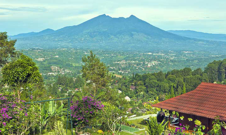 sewa villa puncak