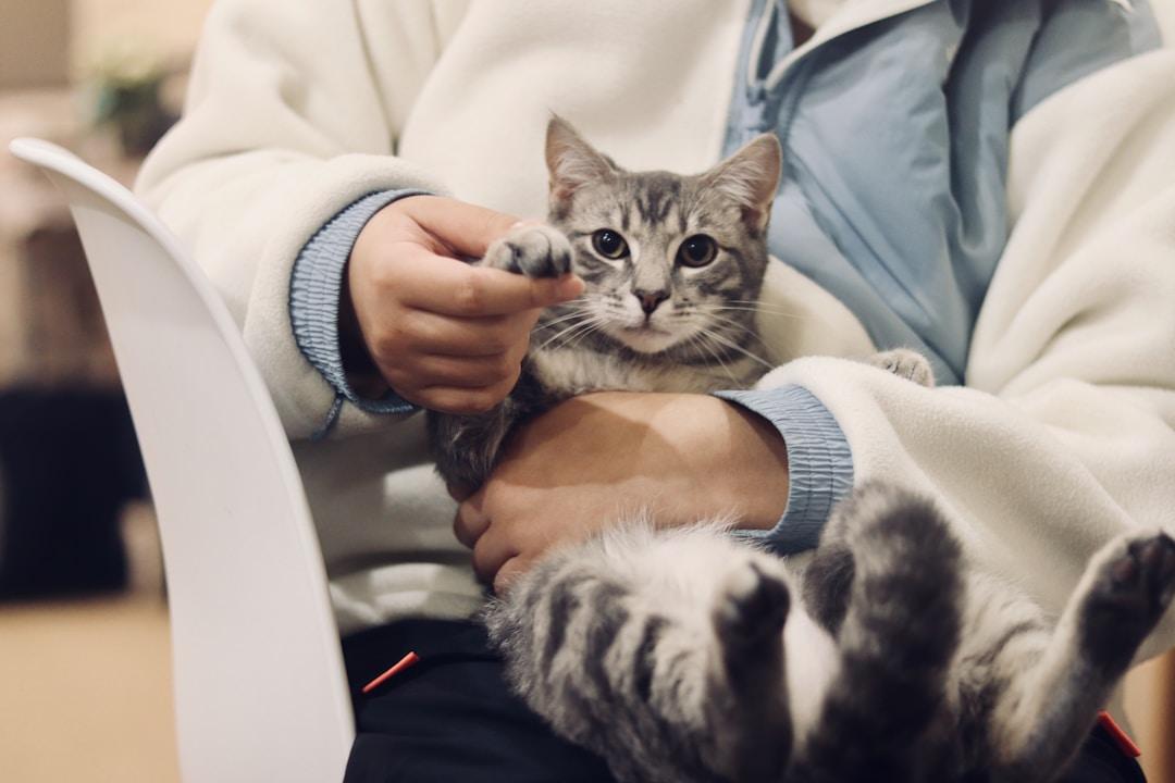 Veterinary Practice